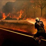 За истекшие сутки в лесах Дальнего Востока действовало 8 пожаров
