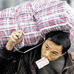Китайских мигрантов депортировали из Приморья