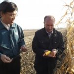 Корейские инвестиции достаются приморскому агропрому