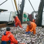 Рыбаки Приморья готовятся к обновлению добывающего флота