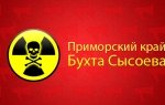 Ядерный могильник может навсегда отвратить жителей Хабаровского края от курортов Приморья