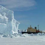 Застрявший во льдах возле Сахалина теплоход «Диомид» останется на зимовку на месте ЧП