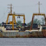 В Приморье на китайском судне обнаружены заражённые продукты питания