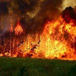 За минувшие сутки на территории Дальнего Востока действовало 13 лесных пожаров в Приморском крае