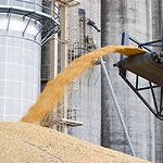 Приморье представило инвесторам три проекта строительства зерновых терминалов