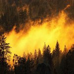 Пожары в Приморье стали причиной отключений электроэнергии