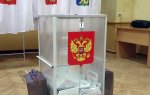 Пересчет голосов на выборах в Зарубино сохранил "статус-кво" среди кандидатов
