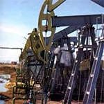 Экология против нефтяников: кто прав