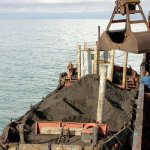 Экологи Приморья обсудят строительство угольного терминала в бухте Суходол