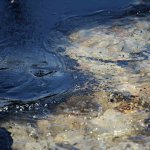 В разливе нефтепродуктов в Приморье виноват моторист теплохода