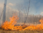 В Хасанском районе Приморья локализован лесной пожар