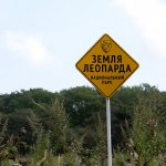 В Приморье в нацпарке «Земля леопарда» пройдет экологический полумарафон