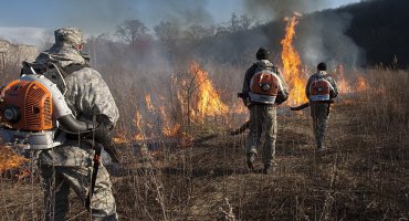 В Хасанском районе полыхают природные пожары