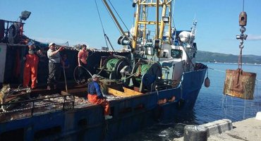 Морская житница Хасанского района